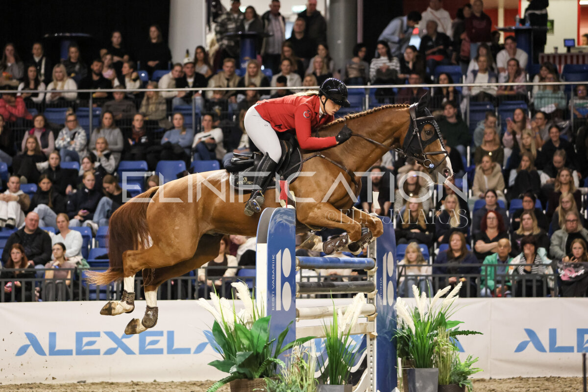 TIHS_2026_Prix-de-Ramirent_254