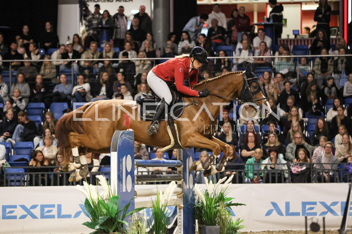 TIHS_2026_Prix-de-Ramirent_256