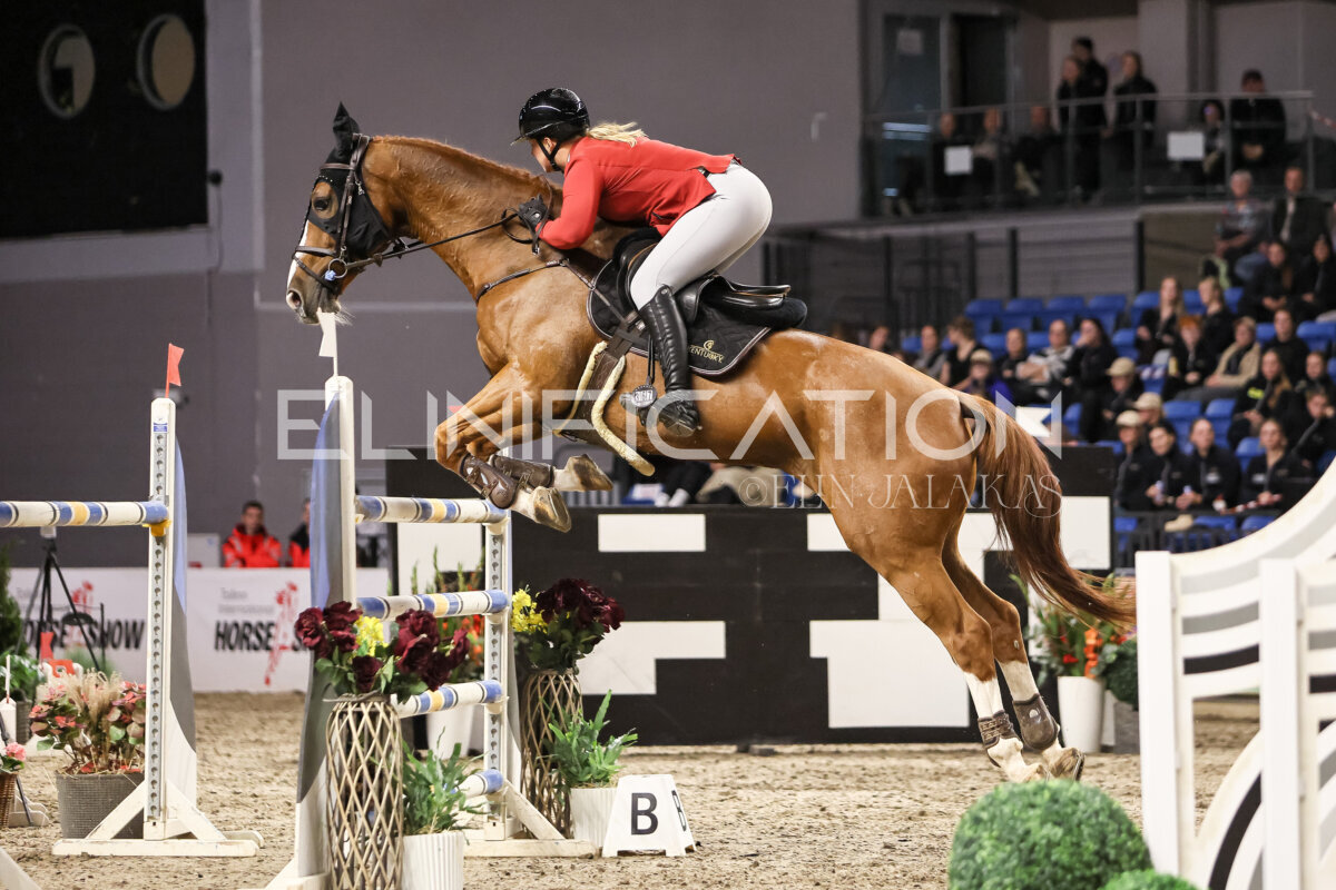 TIHS_2026_Prix-de-Ramirent_261
