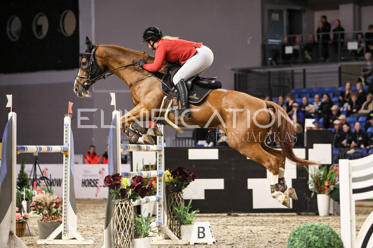 TIHS_2026_Prix-de-Ramirent_262