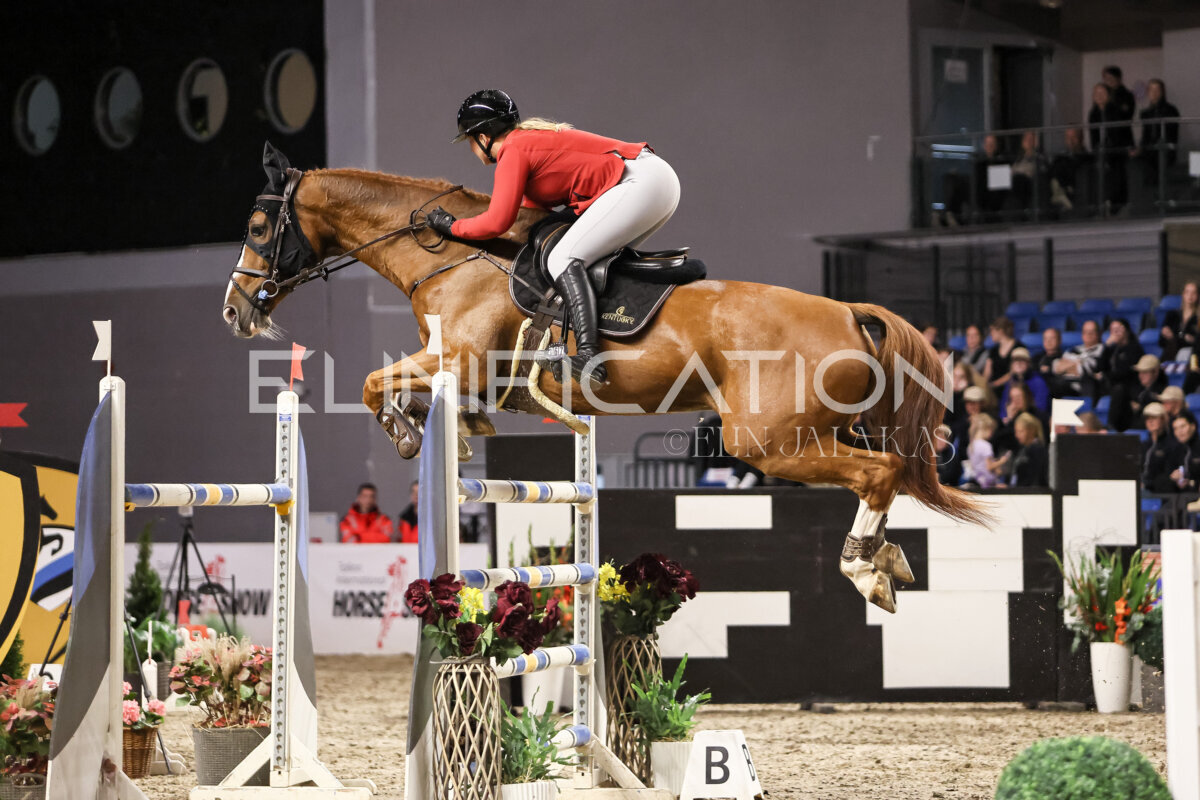 TIHS_2026_Prix-de-Ramirent_263