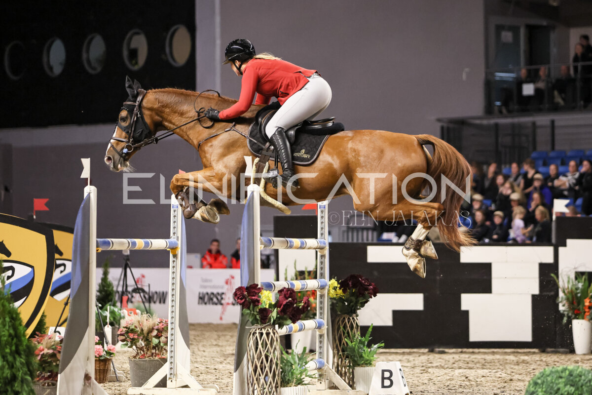 TIHS_2026_Prix-de-Ramirent_264