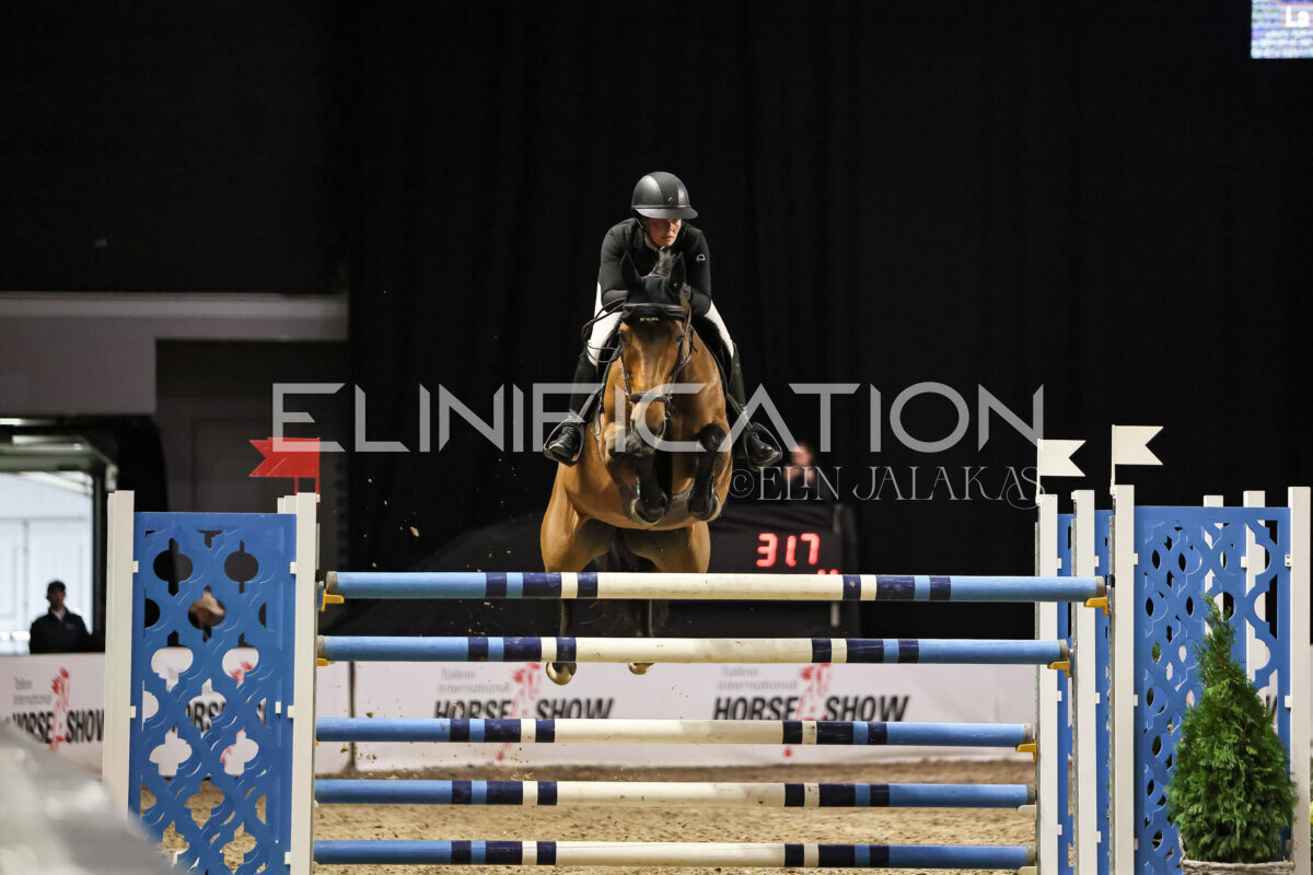 TIHS_2026_Prix-de-Ramirent_271