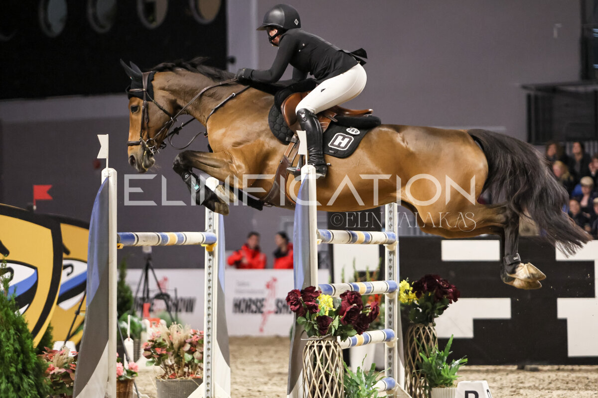 TIHS_2026_Prix-de-Ramirent_276