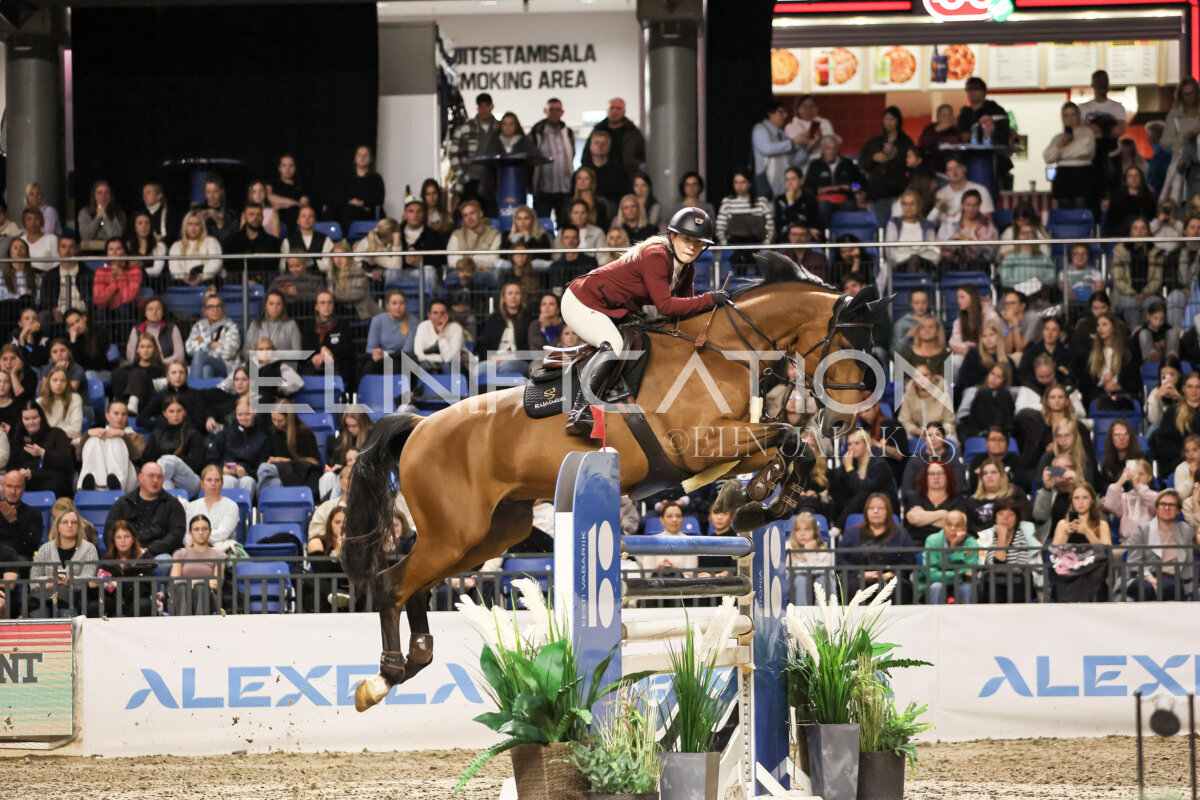 TIHS_2026_Prix-de-Ramirent_281