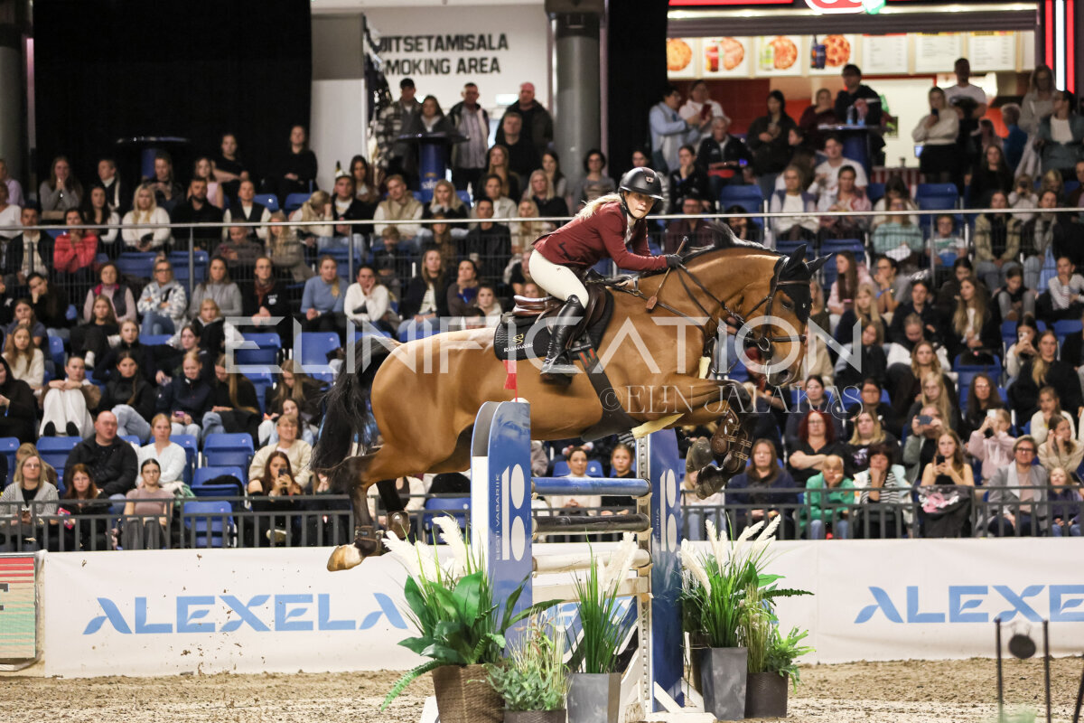 TIHS_2026_Prix-de-Ramirent_282