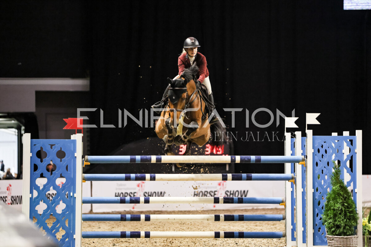 TIHS_2026_Prix-de-Ramirent_286