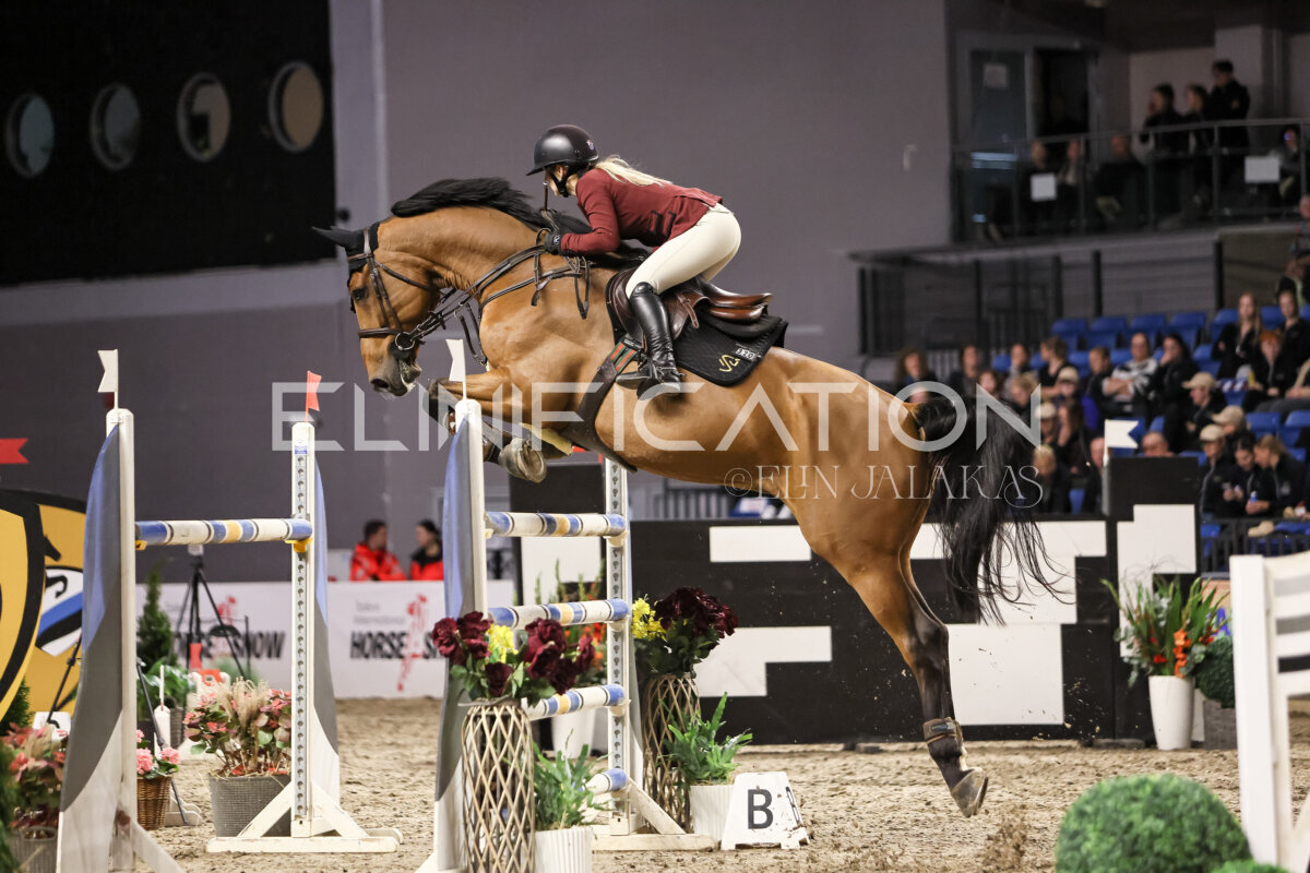 TIHS_2026_Prix-de-Ramirent_288