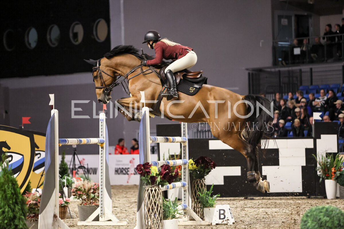 TIHS_2026_Prix-de-Ramirent_289