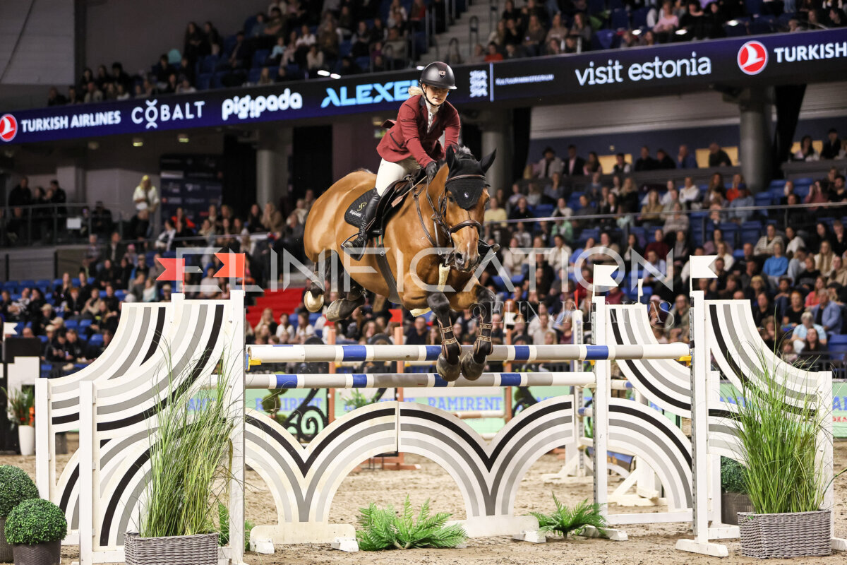TIHS_2026_Prix-de-Ramirent_294