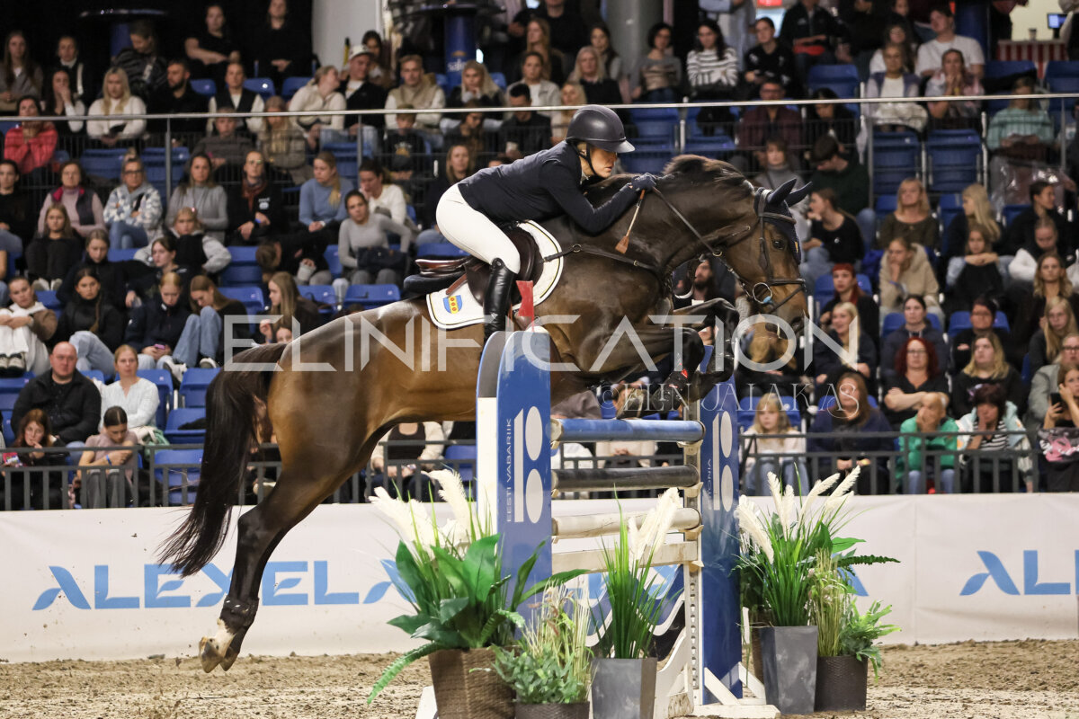 TIHS_2026_Prix-de-Ramirent_295