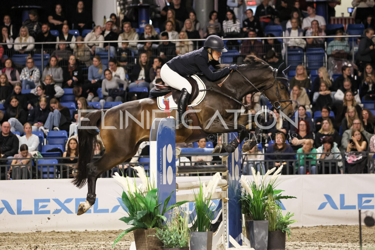 TIHS_2026_Prix-de-Ramirent_296