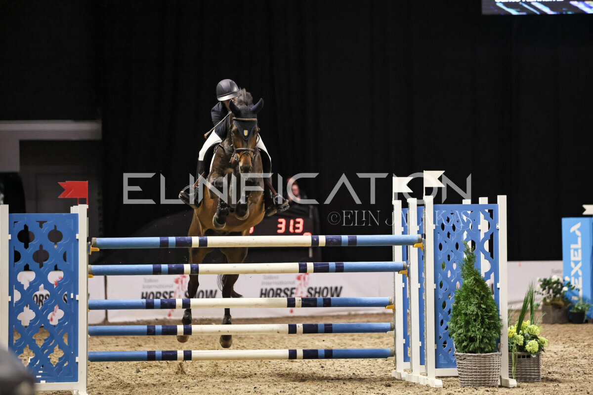TIHS_2026_Prix-de-Ramirent_297