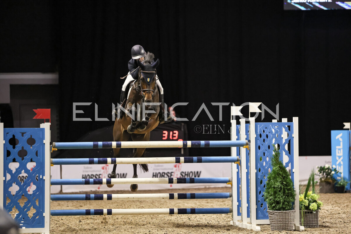 TIHS_2026_Prix-de-Ramirent_298