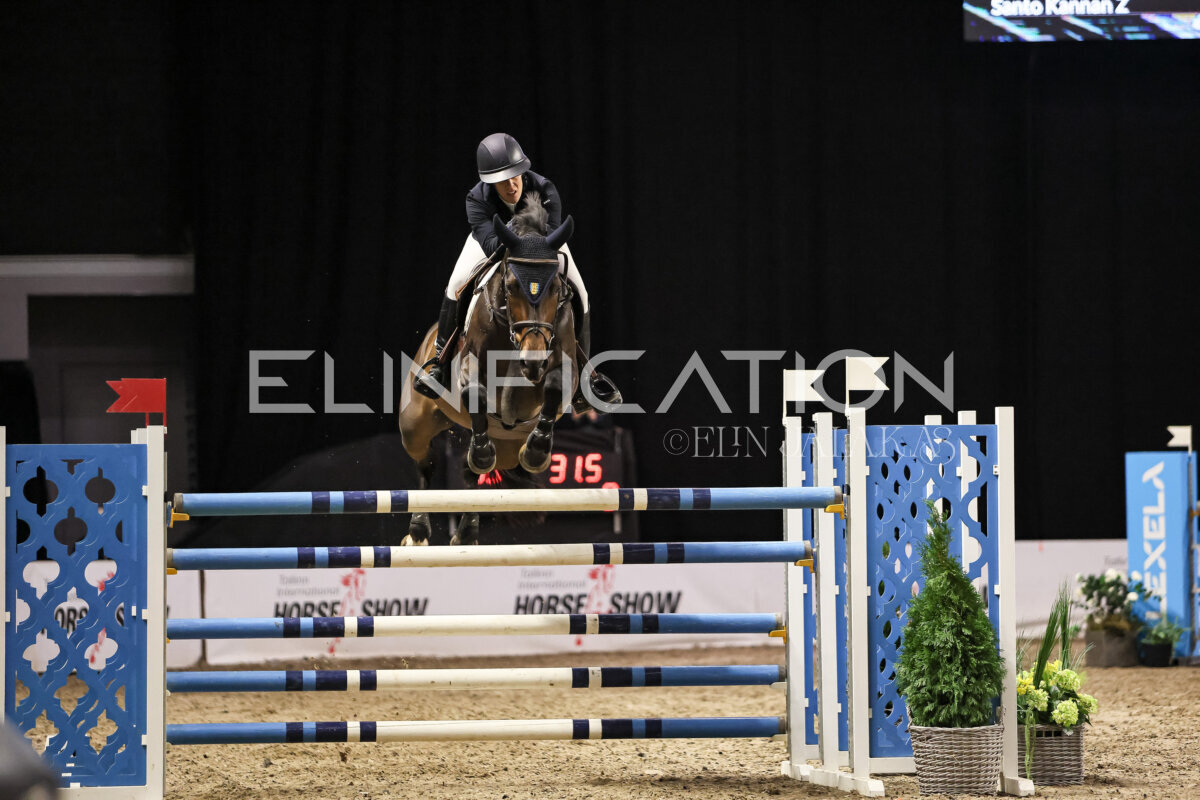 TIHS_2026_Prix-de-Ramirent_300
