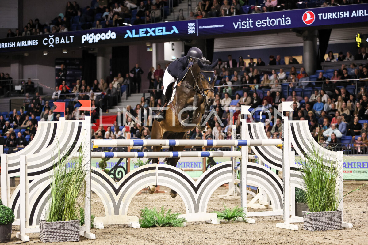TIHS_2026_Prix-de-Ramirent_301