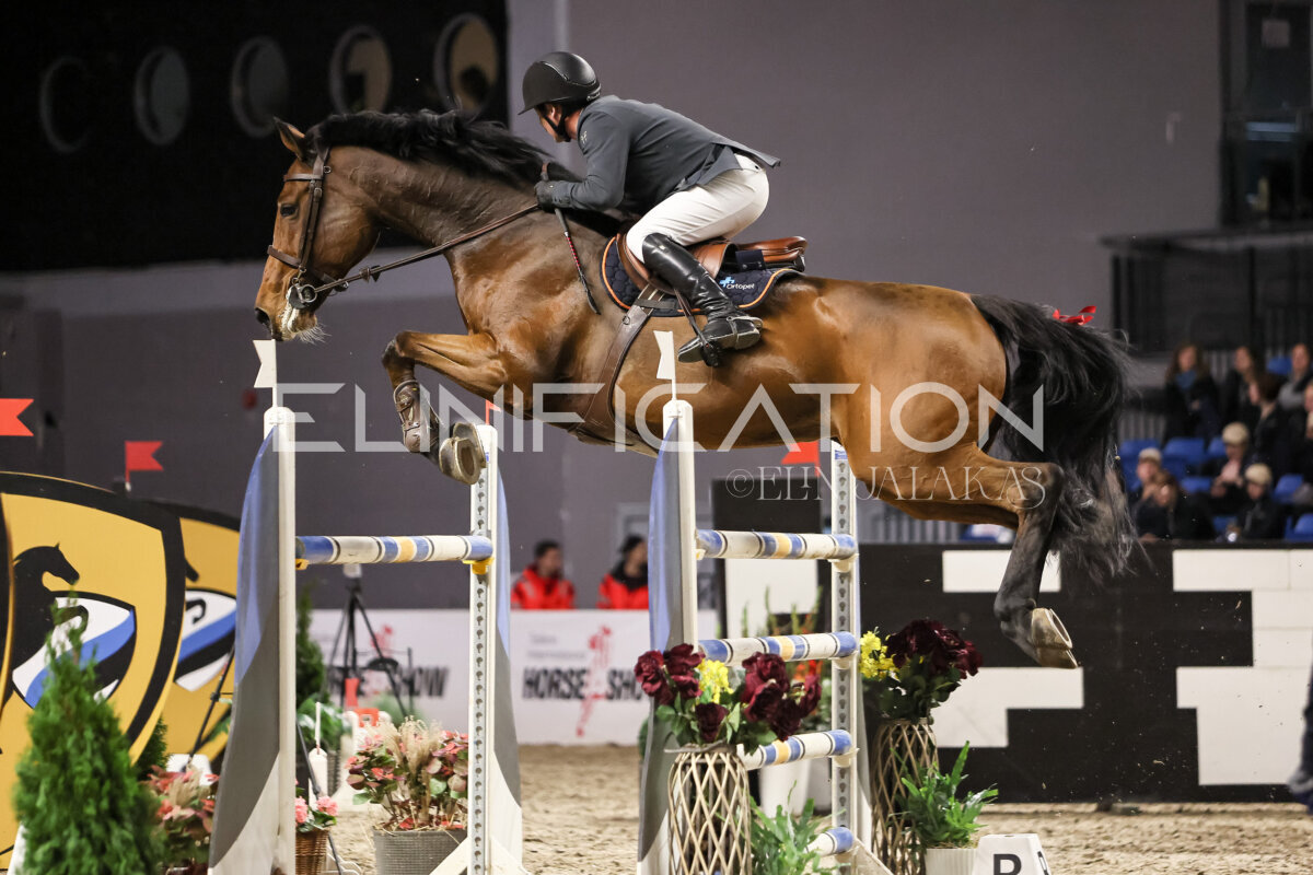 TIHS_2026_Prix-de-Ramirent_312