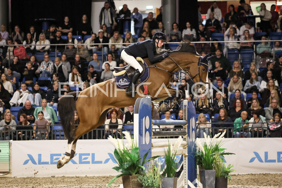 TIHS_2026_Prix-de-Ramirent_325