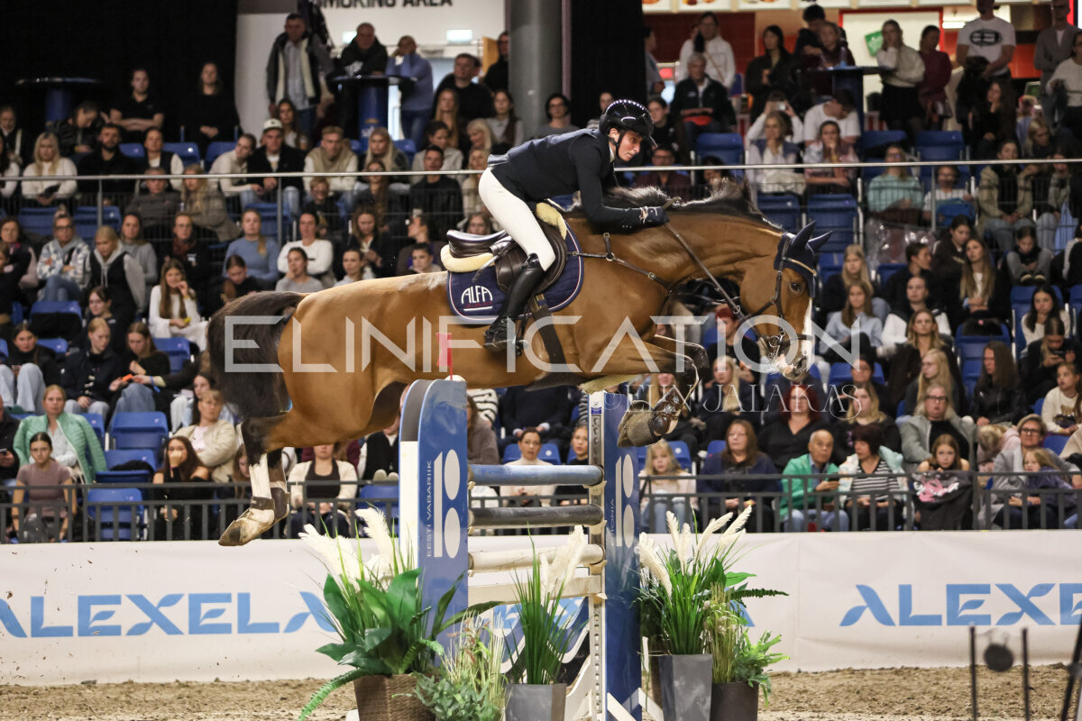 TIHS_2026_Prix-de-Ramirent_327