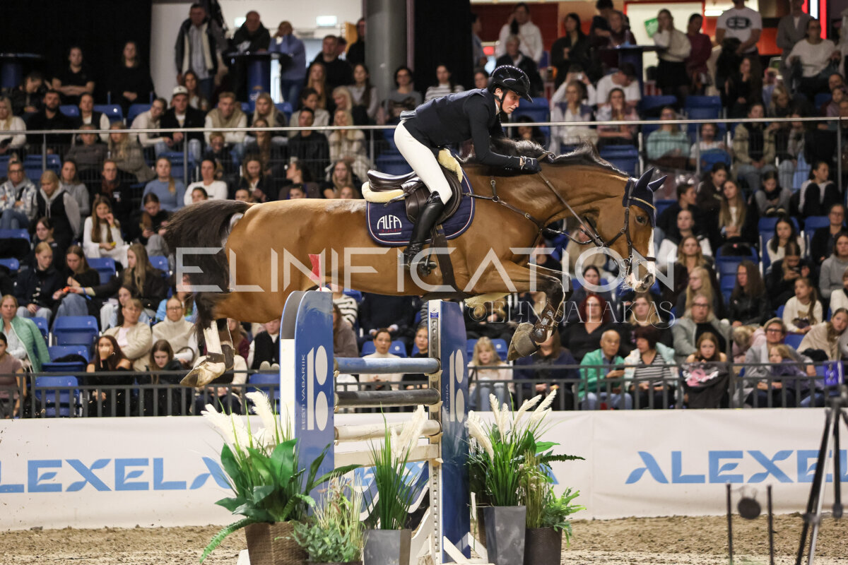TIHS_2026_Prix-de-Ramirent_328