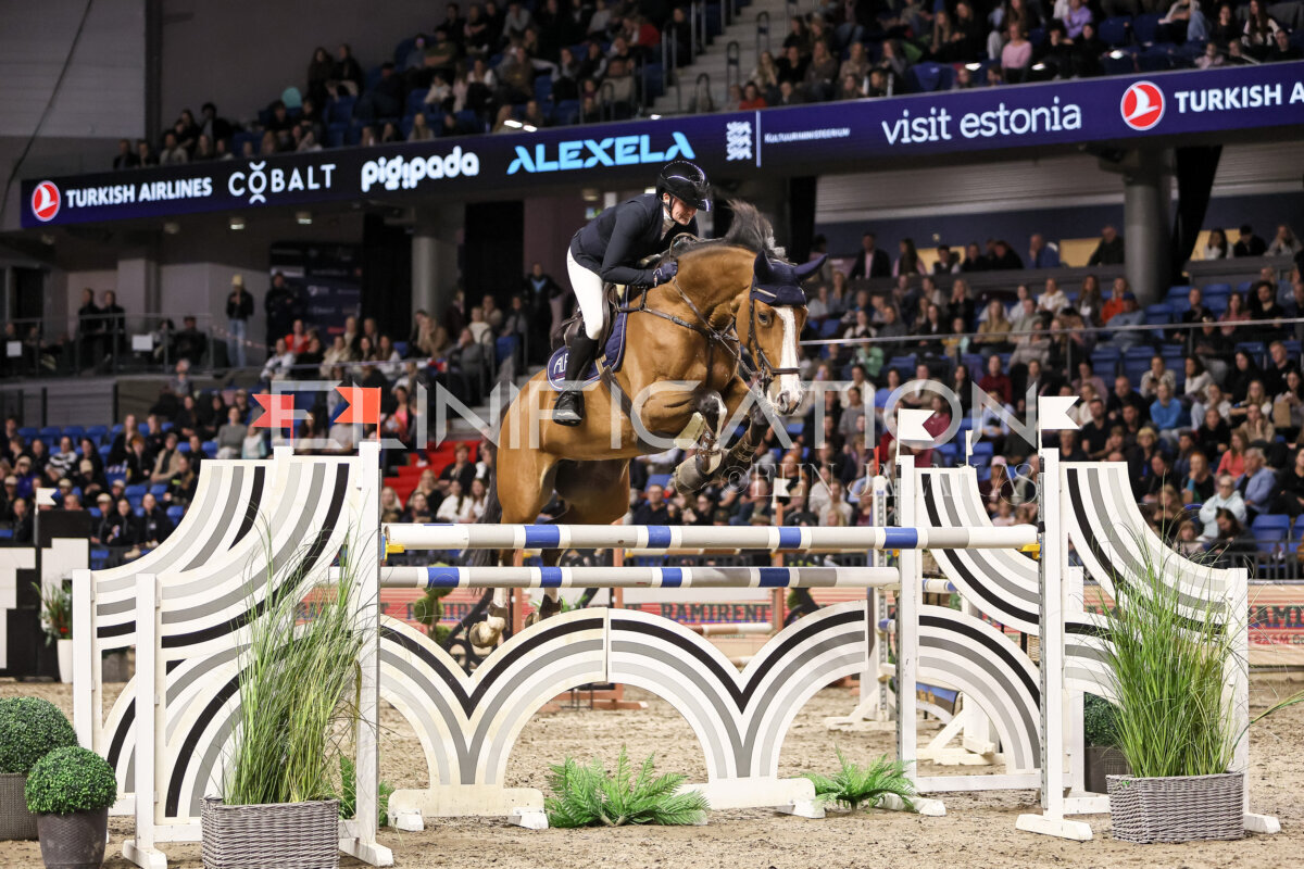 TIHS_2026_Prix-de-Ramirent_338