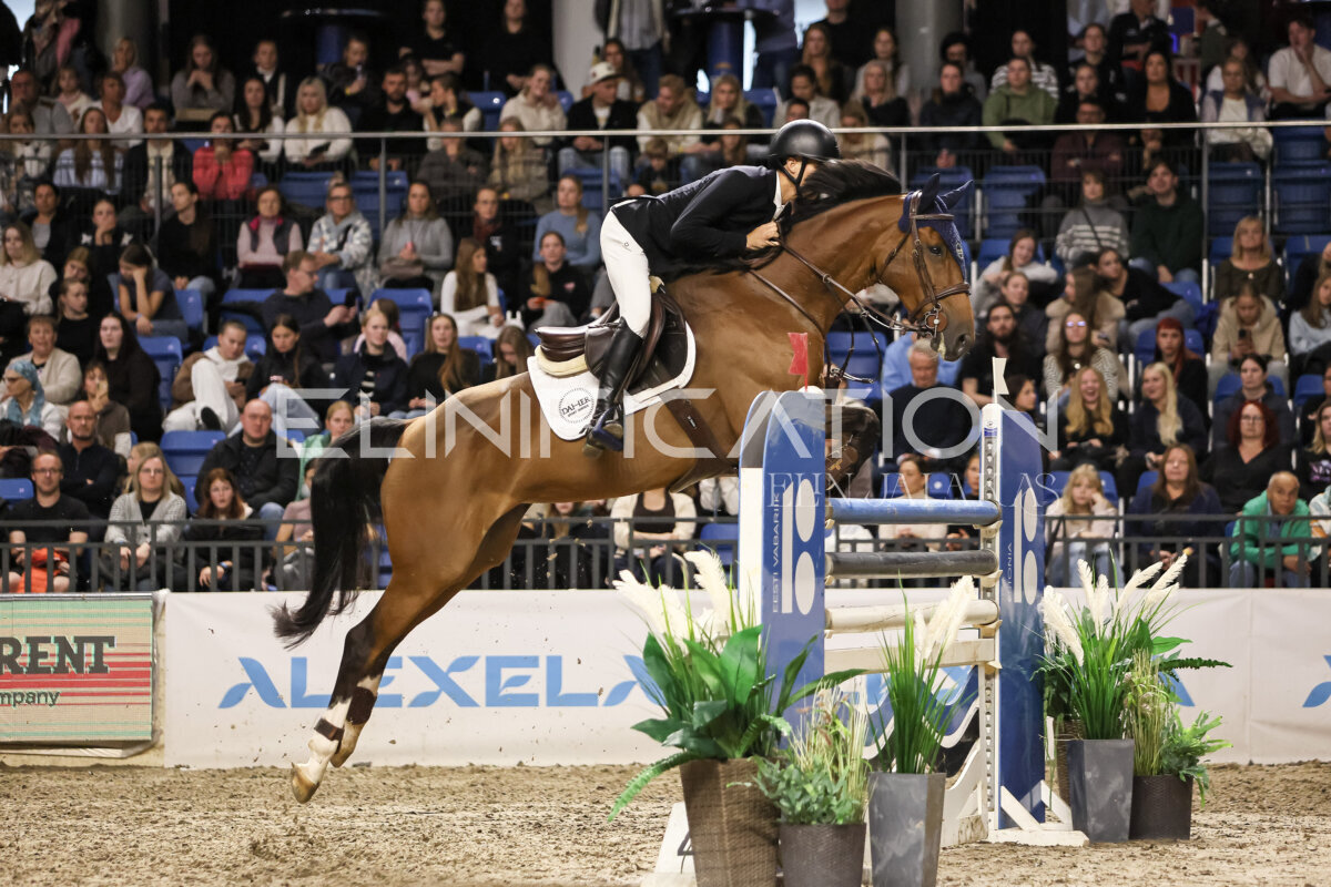 TIHS_2026_Prix-de-Ramirent_347