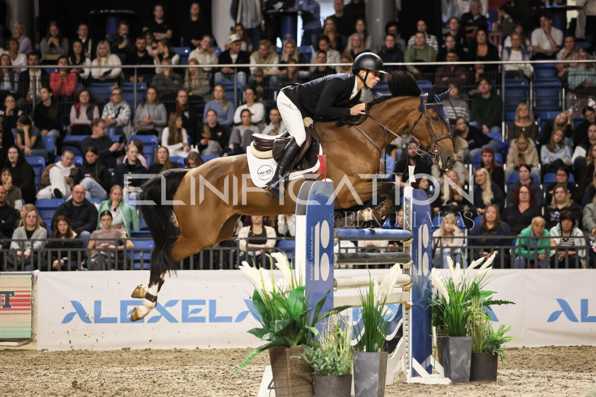 TIHS_2026_Prix-de-Ramirent_348