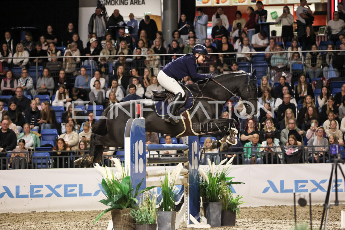 TIHS_2026_Prix-de-Ramirent_387