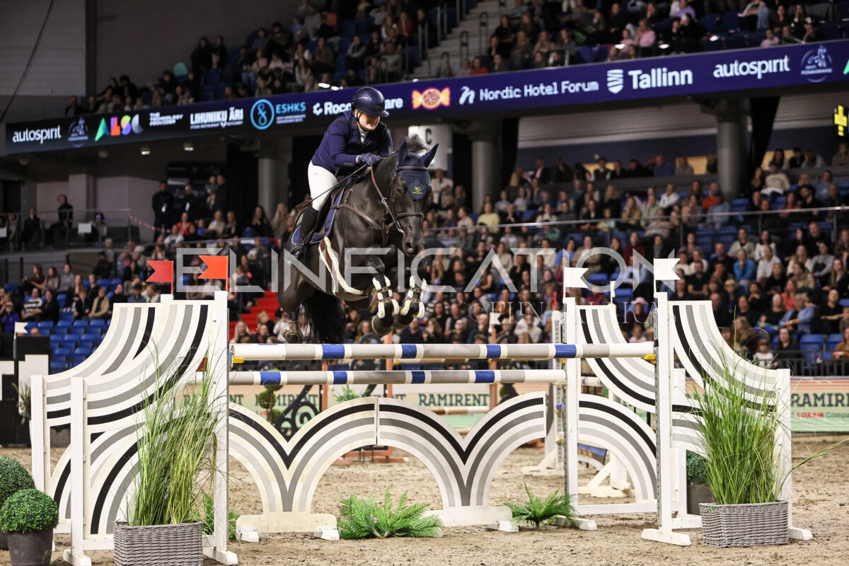 TIHS_2026_Prix-de-Ramirent_393