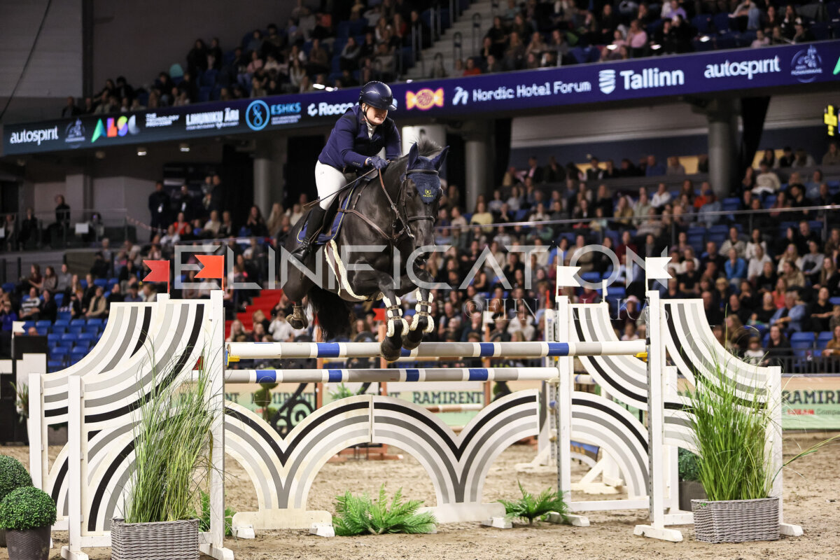 TIHS_2026_Prix-de-Ramirent_394