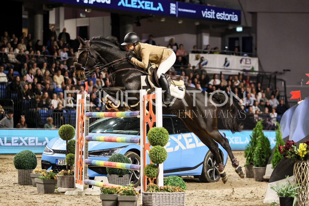 TIHS_2026_Prix-de-Alexela_010