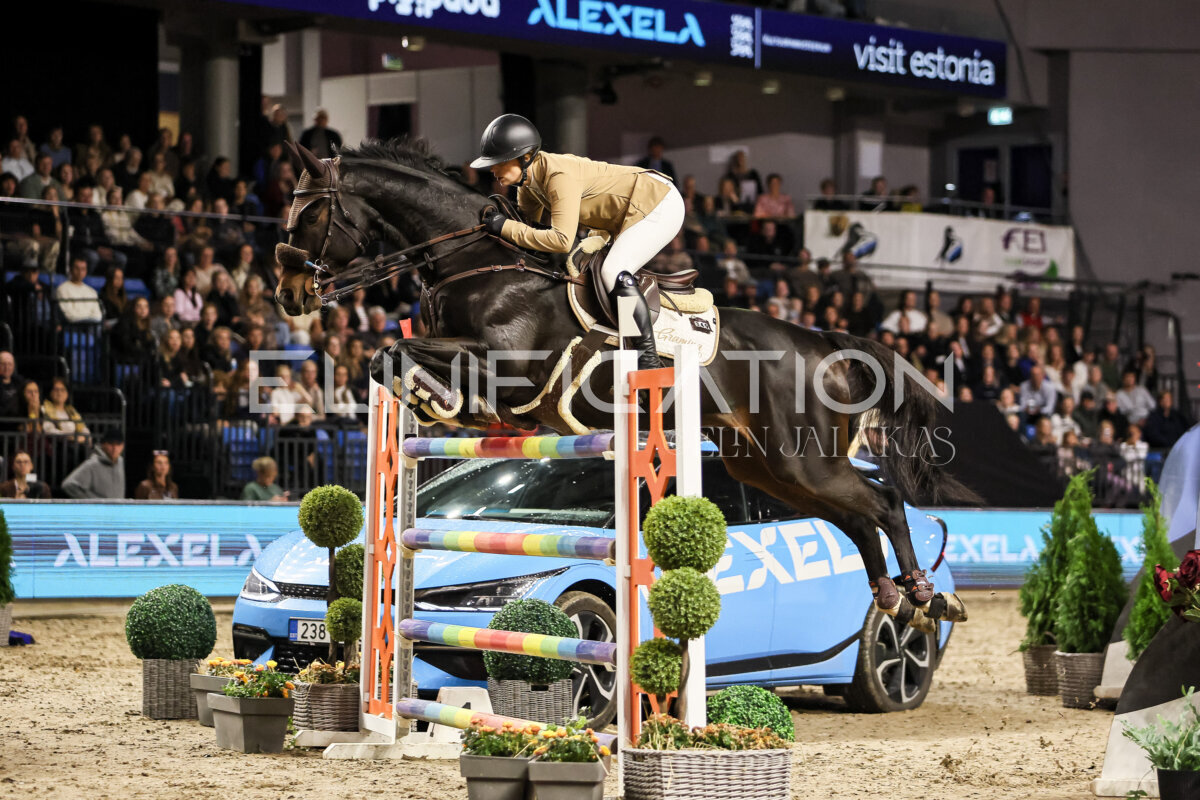 TIHS_2026_Prix-de-Alexela_011