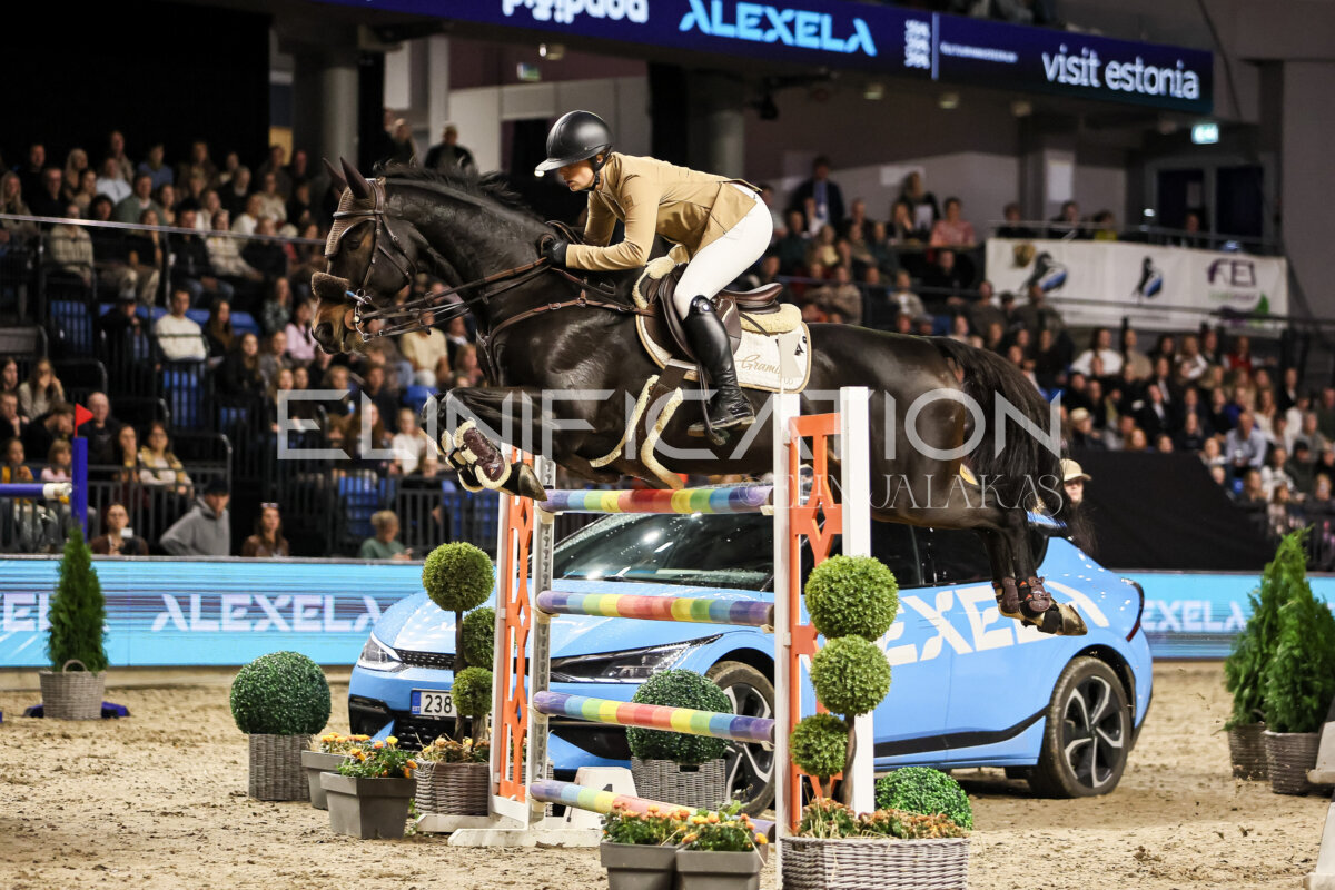 TIHS_2026_Prix-de-Alexela_012