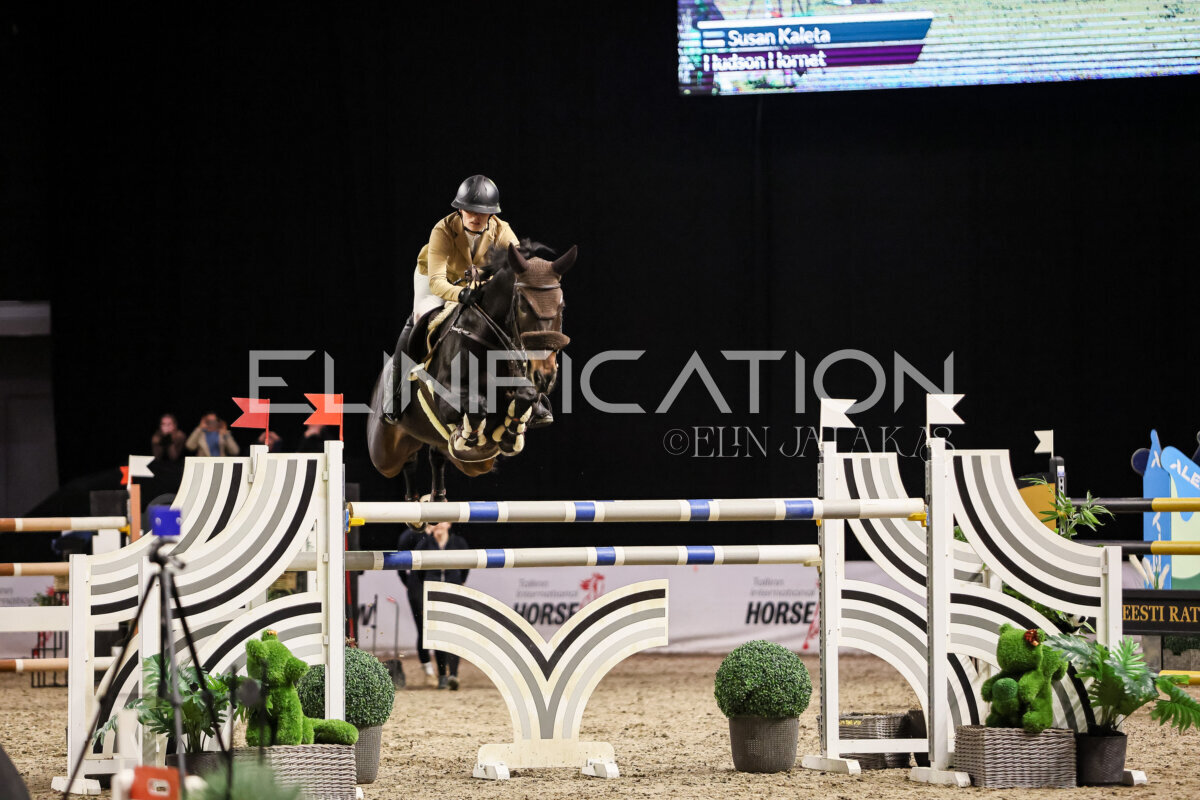 TIHS_2026_Prix-de-Alexela_013