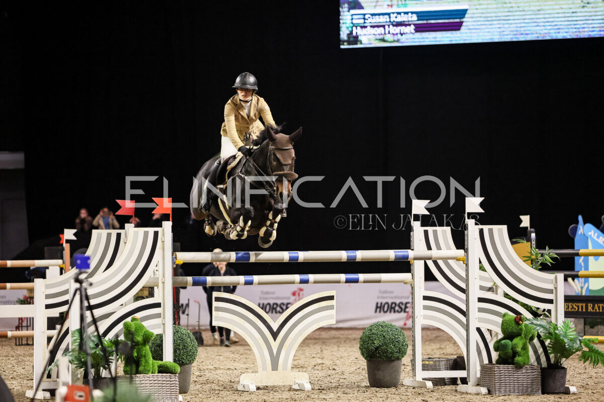 TIHS_2026_Prix-de-Alexela_015