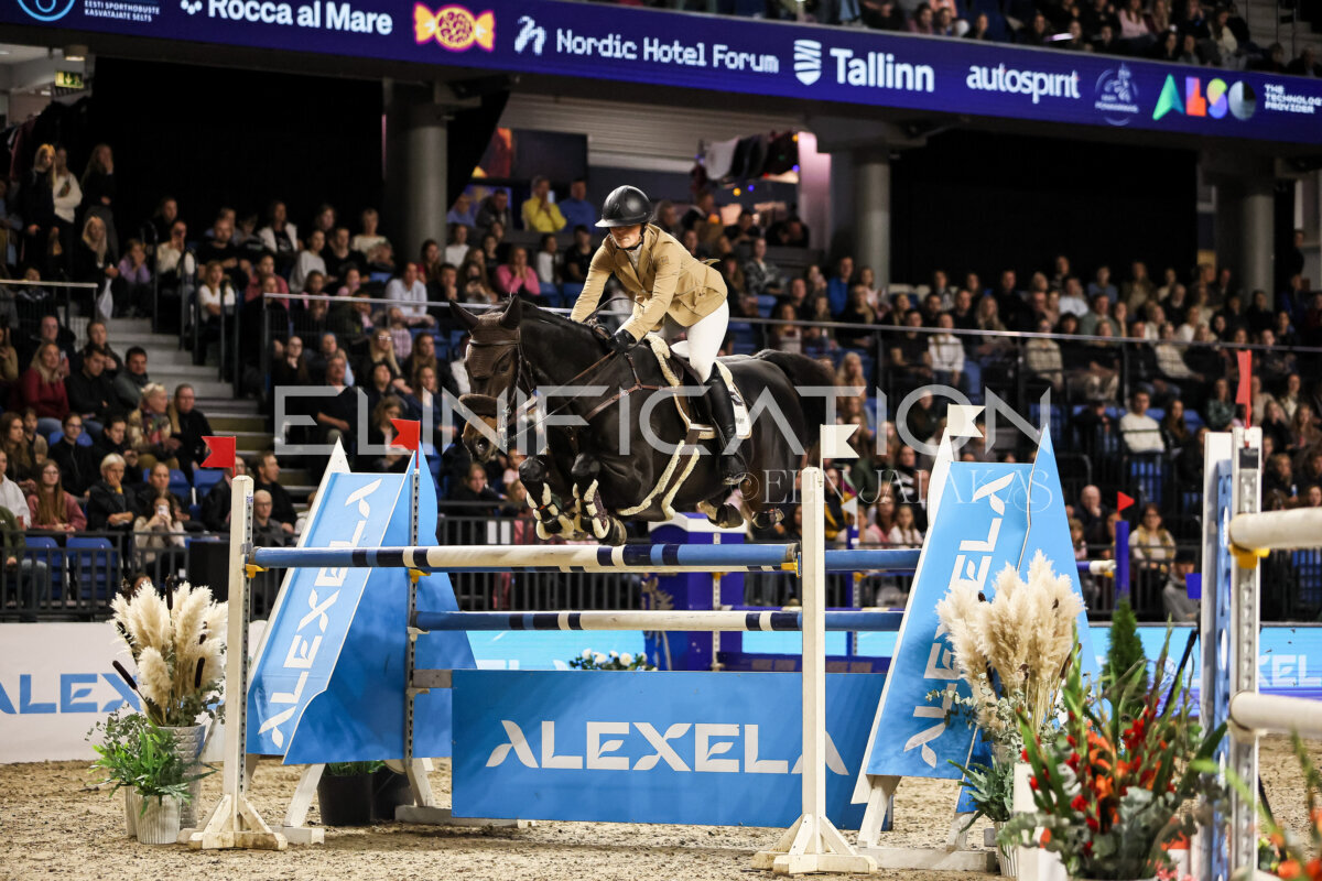 TIHS_2026_Prix-de-Alexela_021