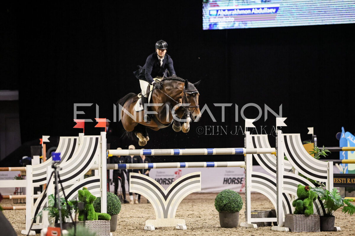 TIHS_2026_Prix-de-Alexela_025