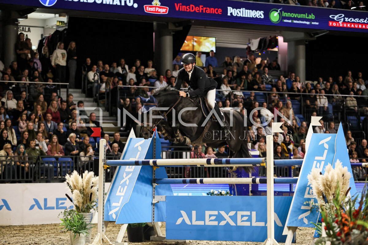 TIHS_2026_Prix-de-Alexela_045