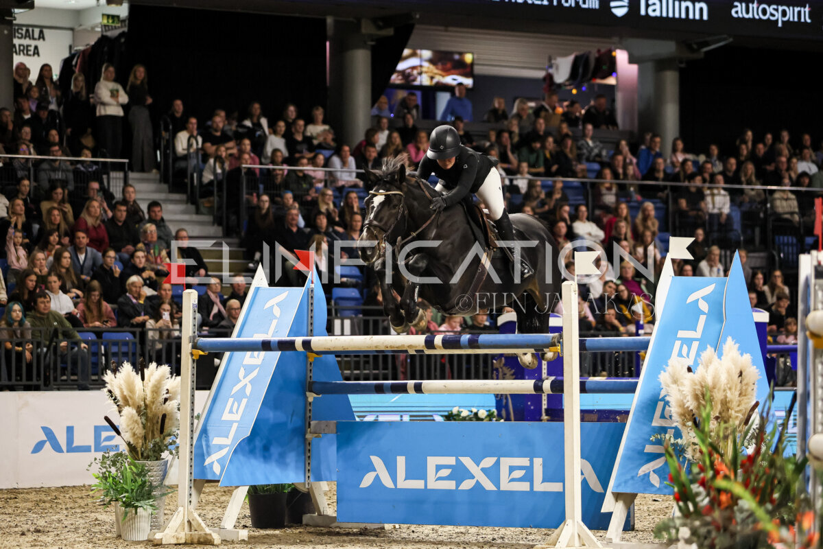 TIHS_2026_Prix-de-Alexela_065