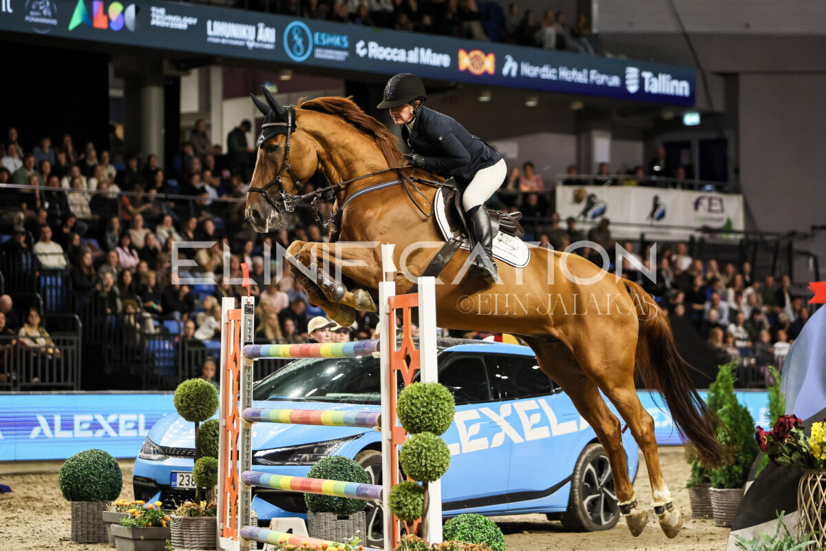 TIHS_2026_Prix-de-Alexela_071