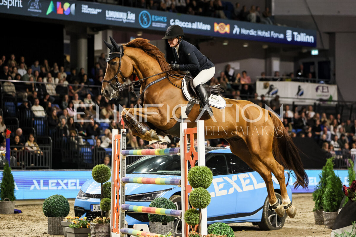 TIHS_2026_Prix-de-Alexela_072