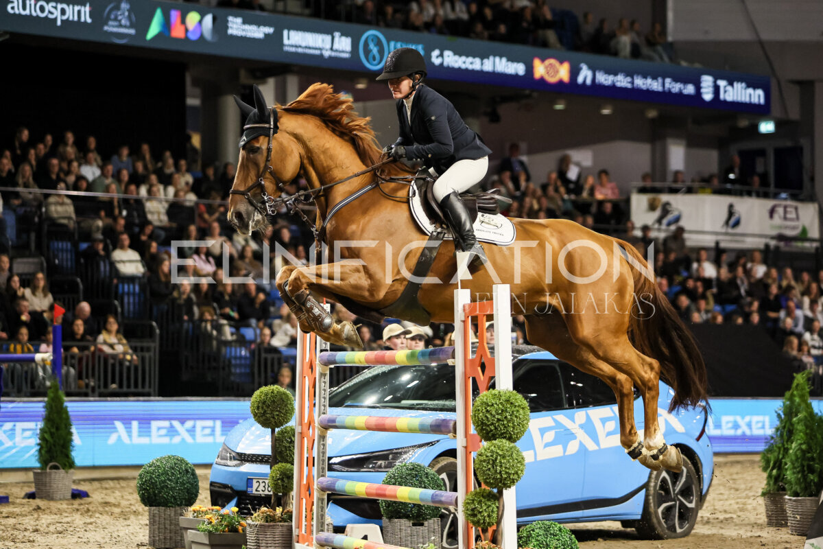 TIHS_2026_Prix-de-Alexela_073