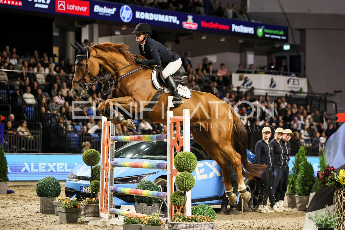TIHS_2026_Prix-de-Alexela_074