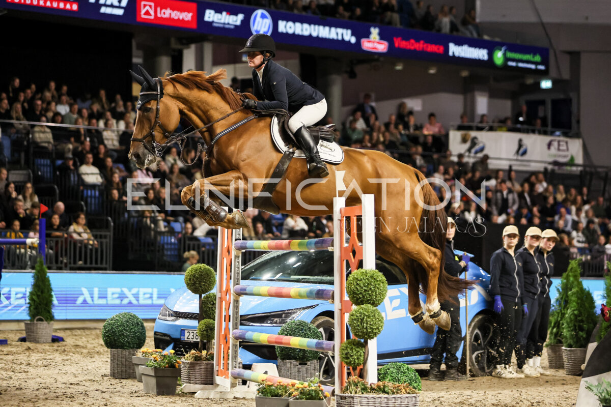TIHS_2026_Prix-de-Alexela_075