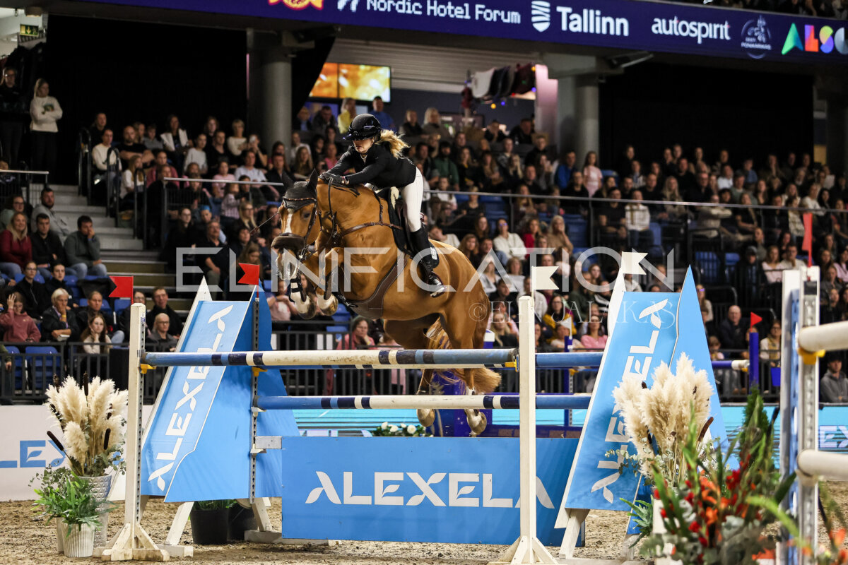 TIHS_2026_Prix-de-Alexela_127