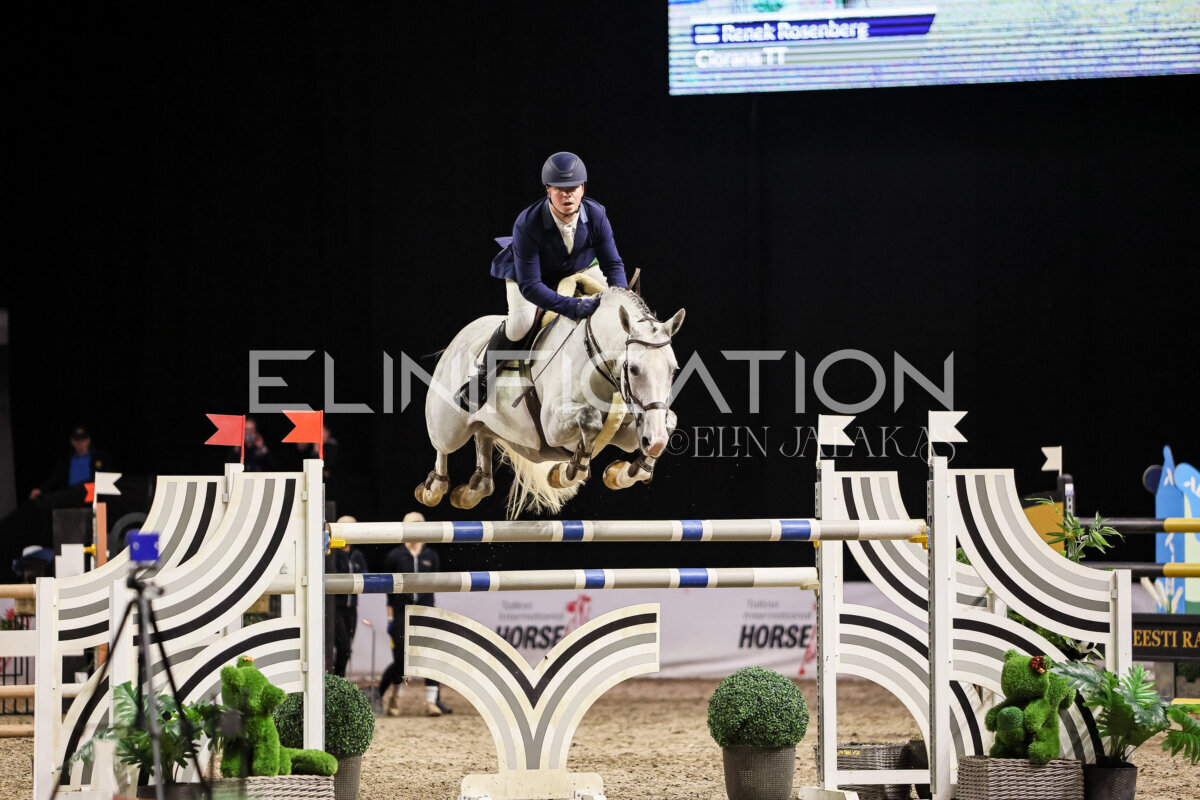 TIHS_2026_Prix-de-Alexela_146