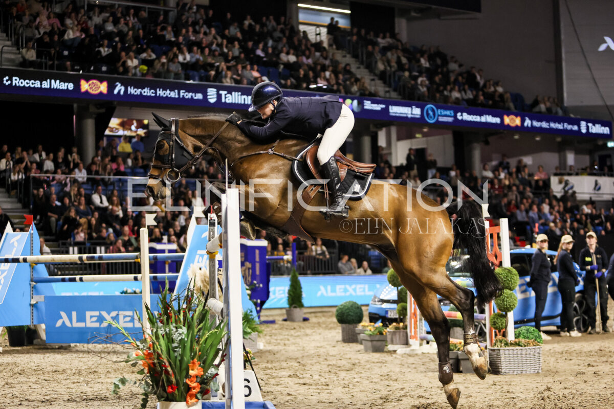 TIHS_2026_Prix-de-Alexela_171