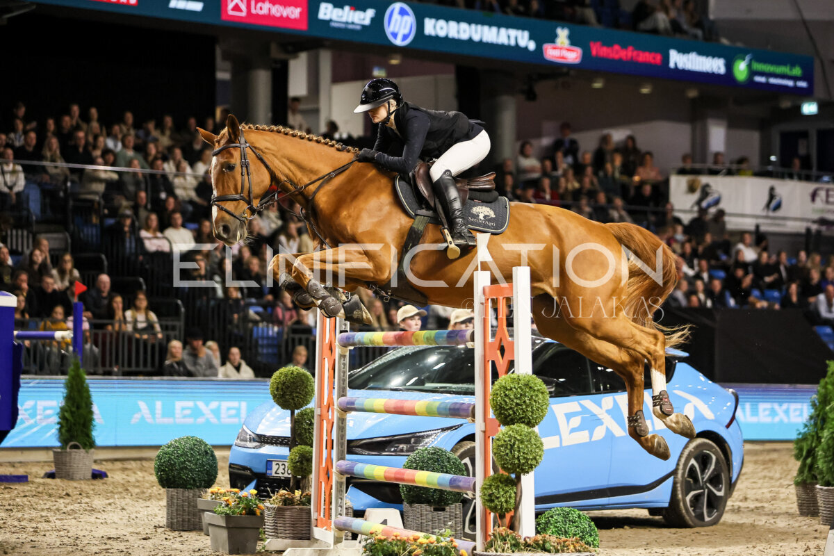 TIHS_2026_Prix-de-Alexela_176