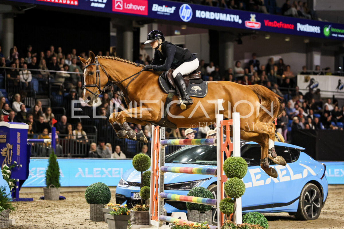 TIHS_2026_Prix-de-Alexela_177