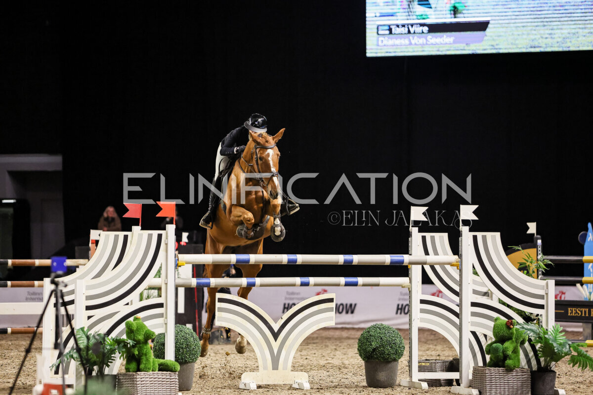 TIHS_2026_Prix-de-Alexela_179
